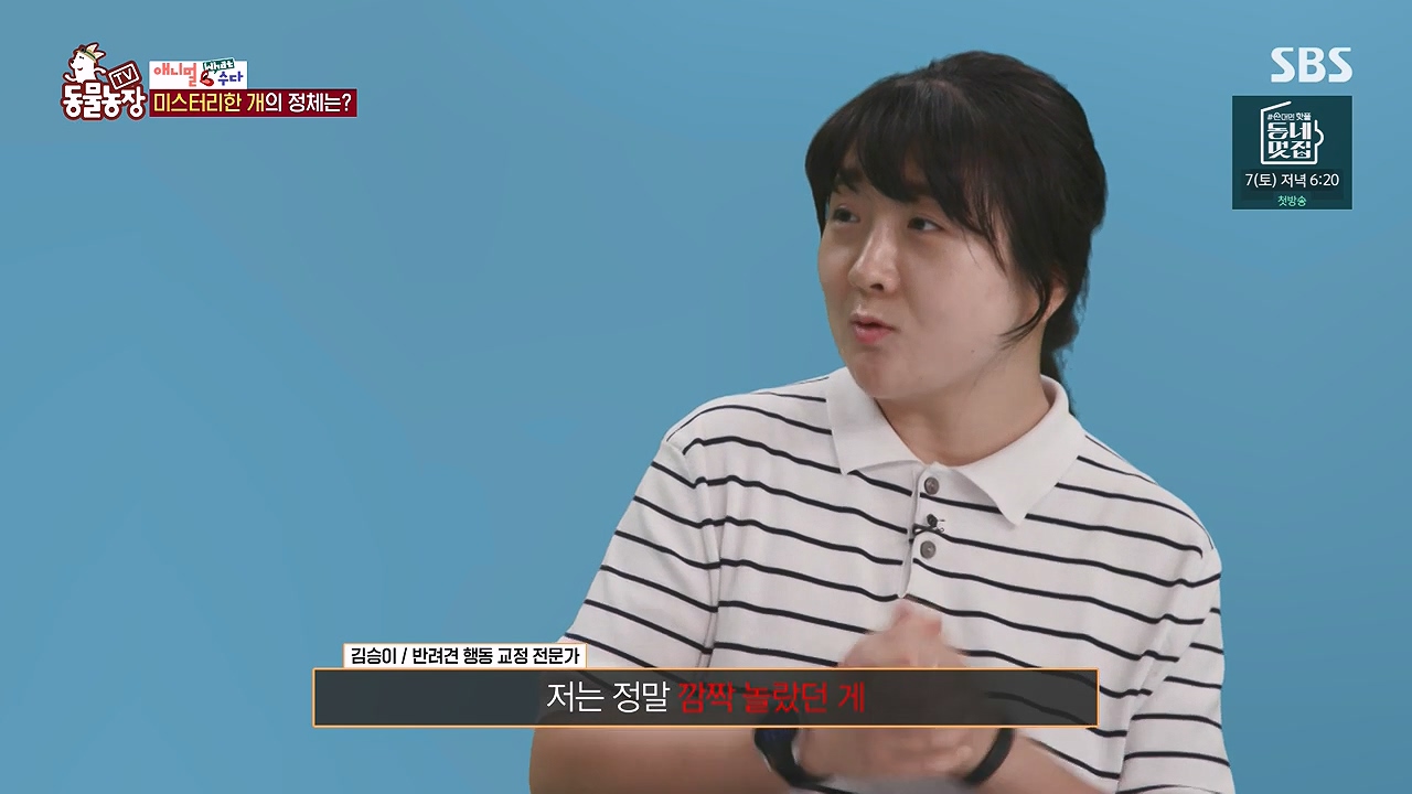 TV 동물농장.E1187.240902p-NEXT.mp4_20240901_153857.633.jpg