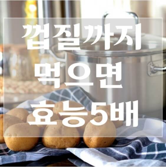 감자-효능