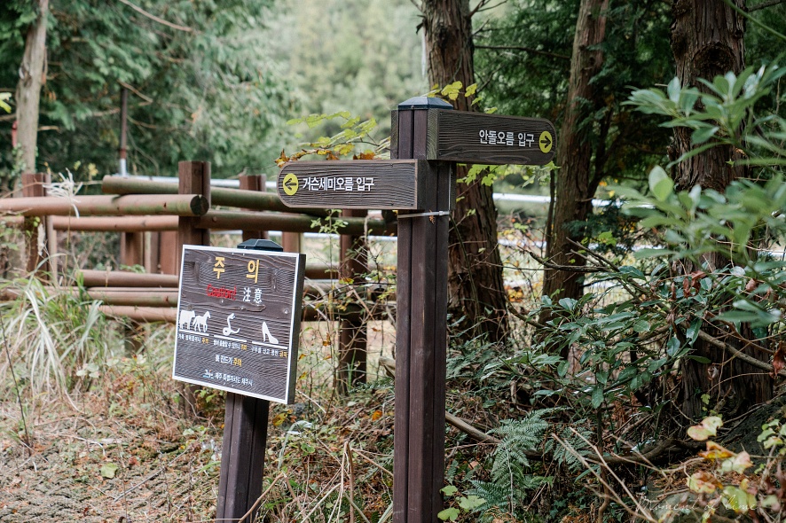 비밀 의 숲 안돌오름 9