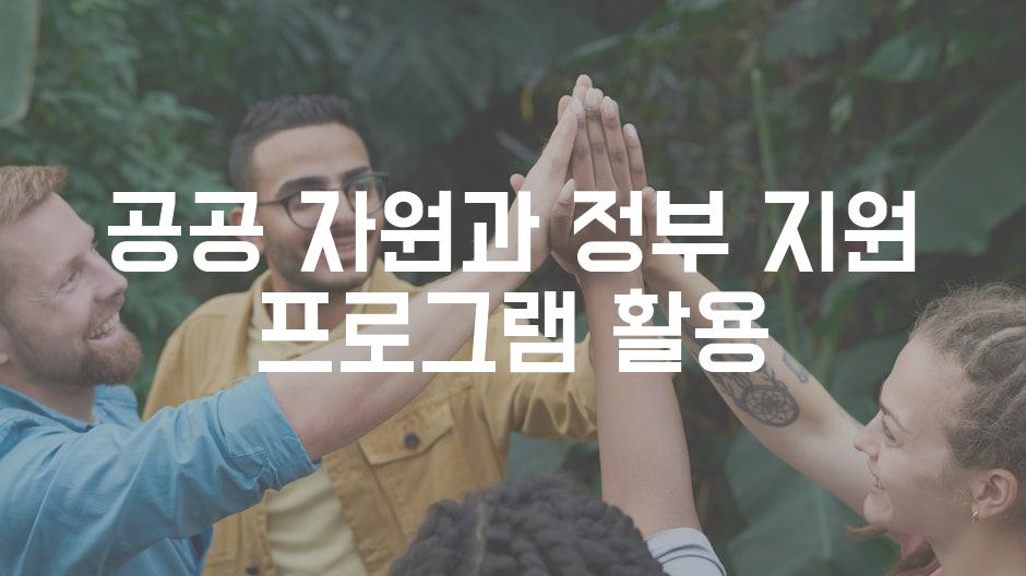 공공 자원과 정부 지원 프로그램 활용