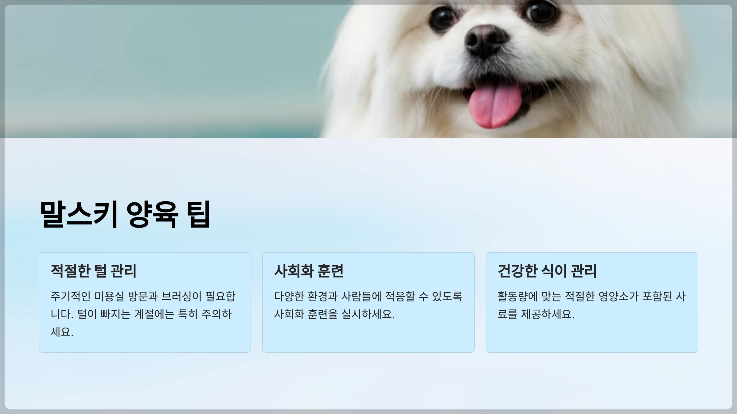 말스키 양육 팁
