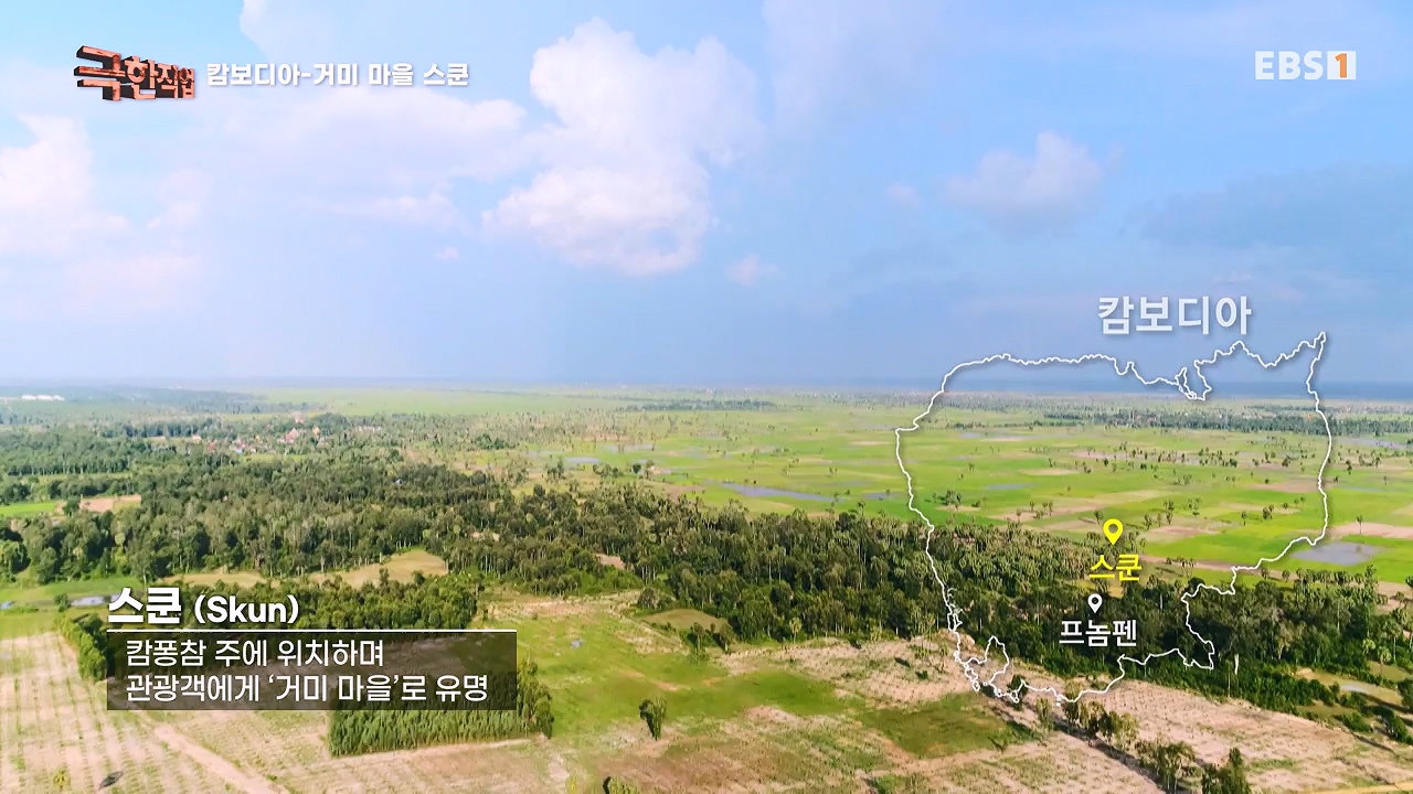 TV - 전 국민의 평생학교 EBS캄보디아 - 독충을 잡는 사람들.mp4_20230501_173348.264.jpg