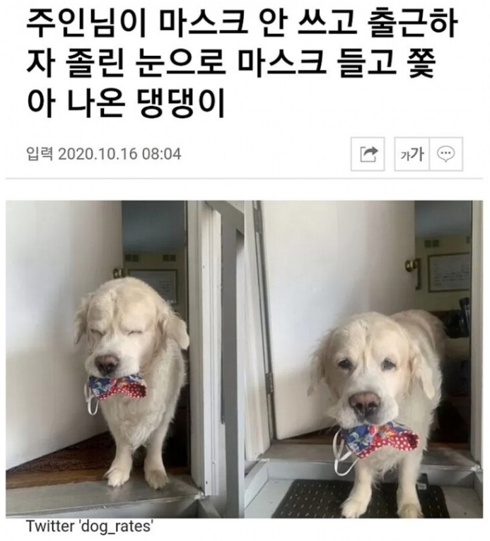  주인아! 나갈 때는 입마개 꼭 해라멍!