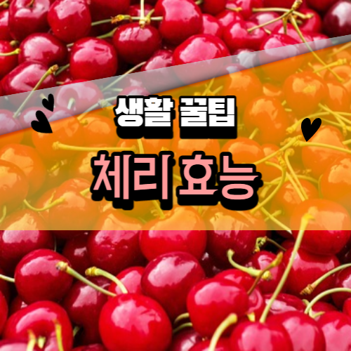 쌓여있는 체리
