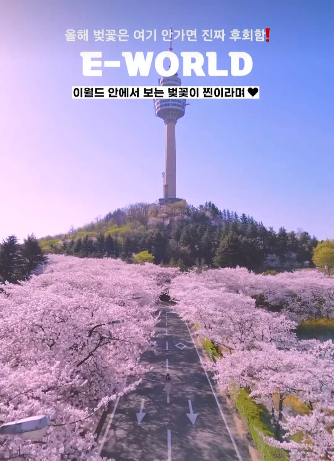 이월드 블라썸피크닉