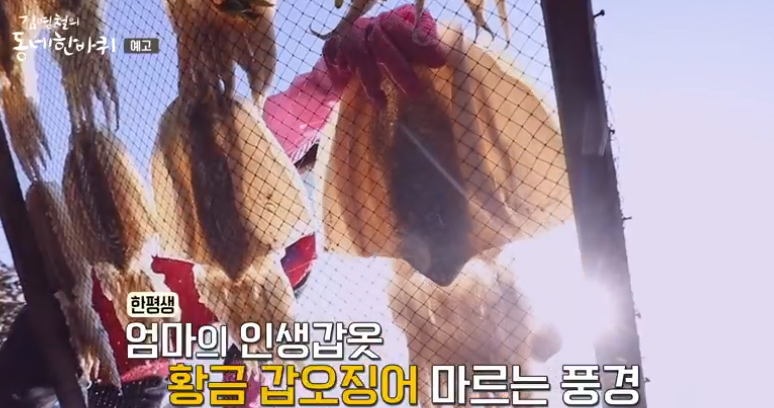 김영철의 동네 한바퀴 목포 갑오징어 말린 마른 반건조 택배 주문하는곳 덕장 부부