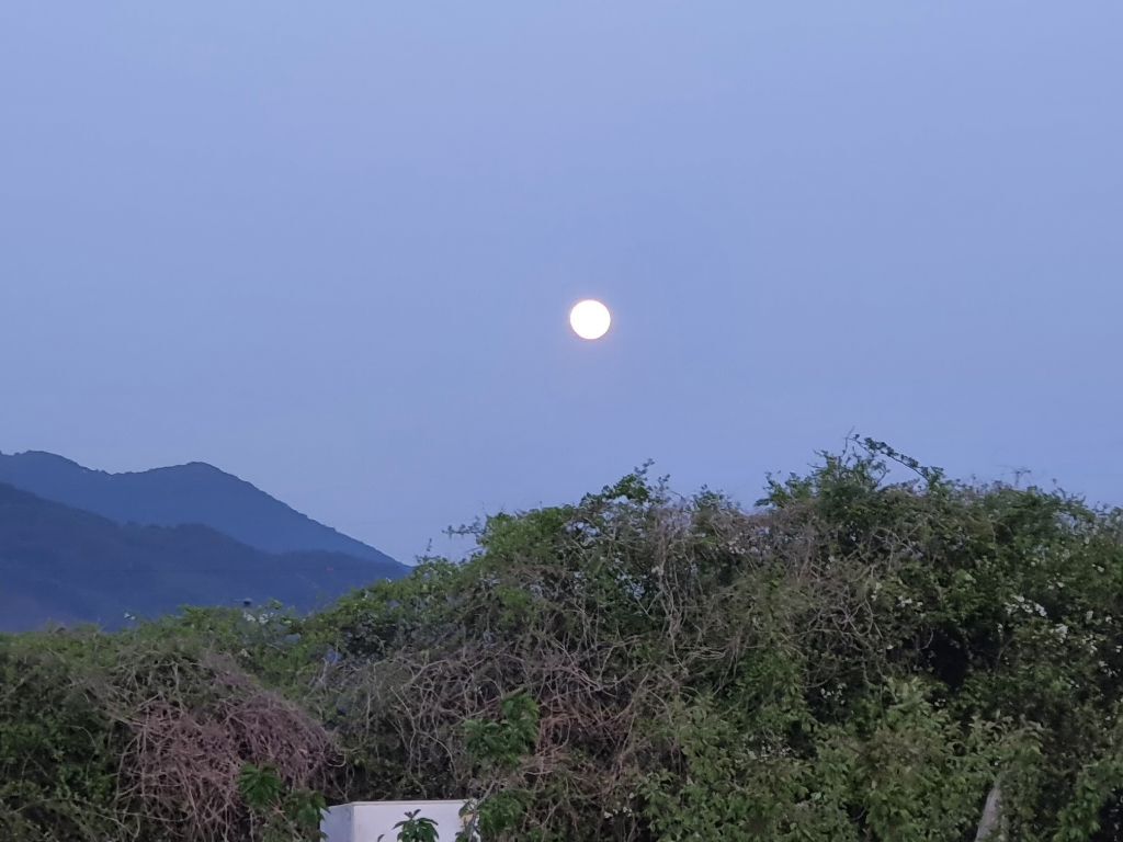 주연농장 이미지