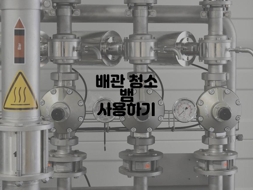 배관 청소 뱀 사용하기