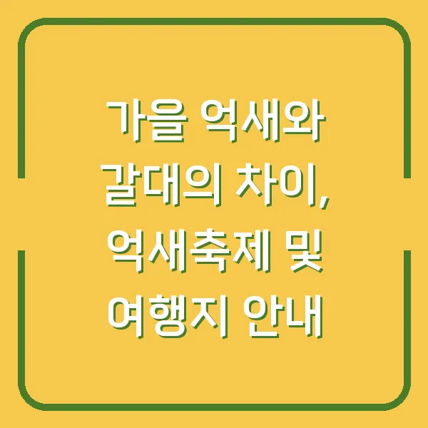가을 억새와 갈대의 차이, 억새축제 및 여행지 안내