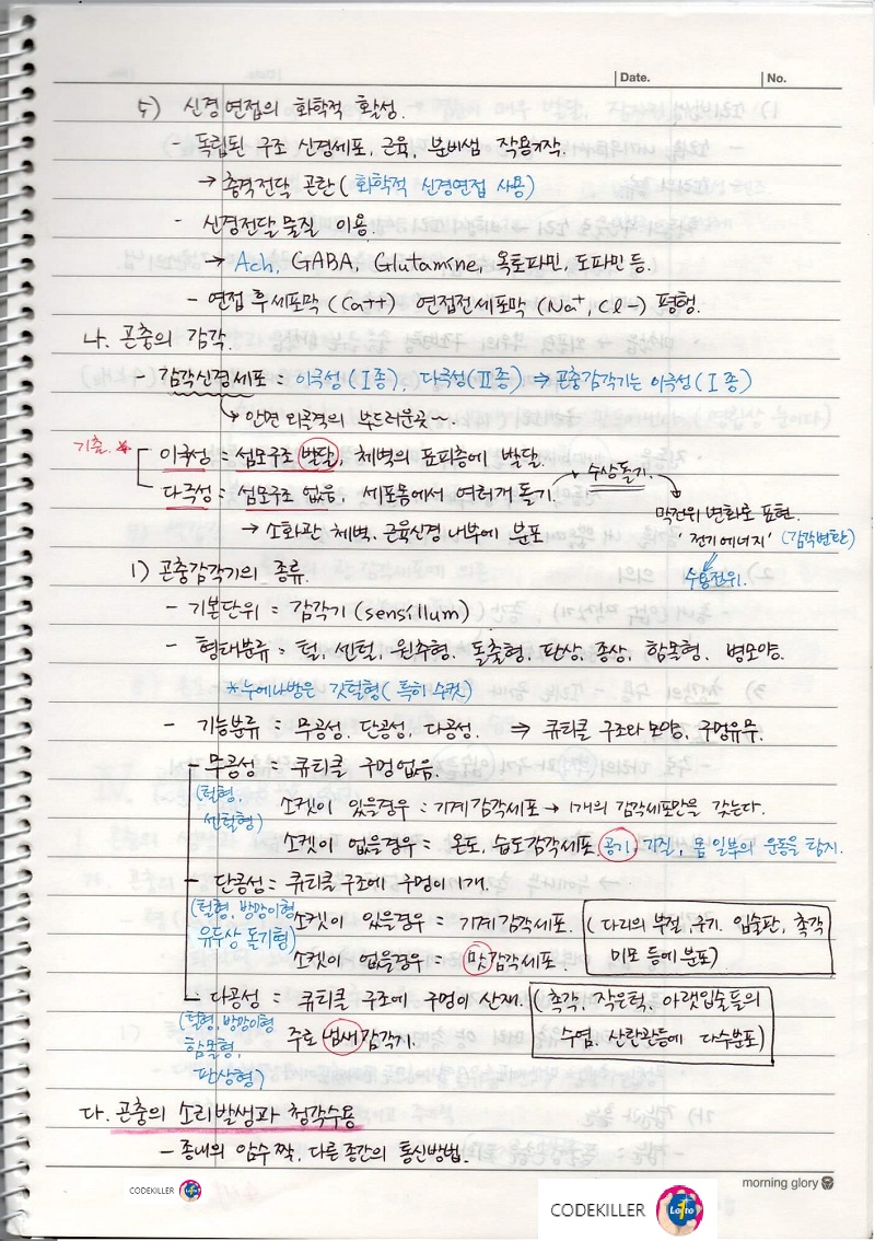  [수목해충학] 6. 곤충의 기관별 생리와 기능 - 곤충의 신경,감각