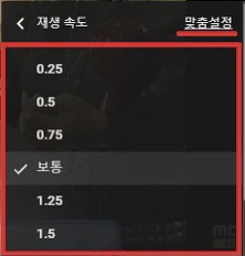 유튜브 미리보기 속도