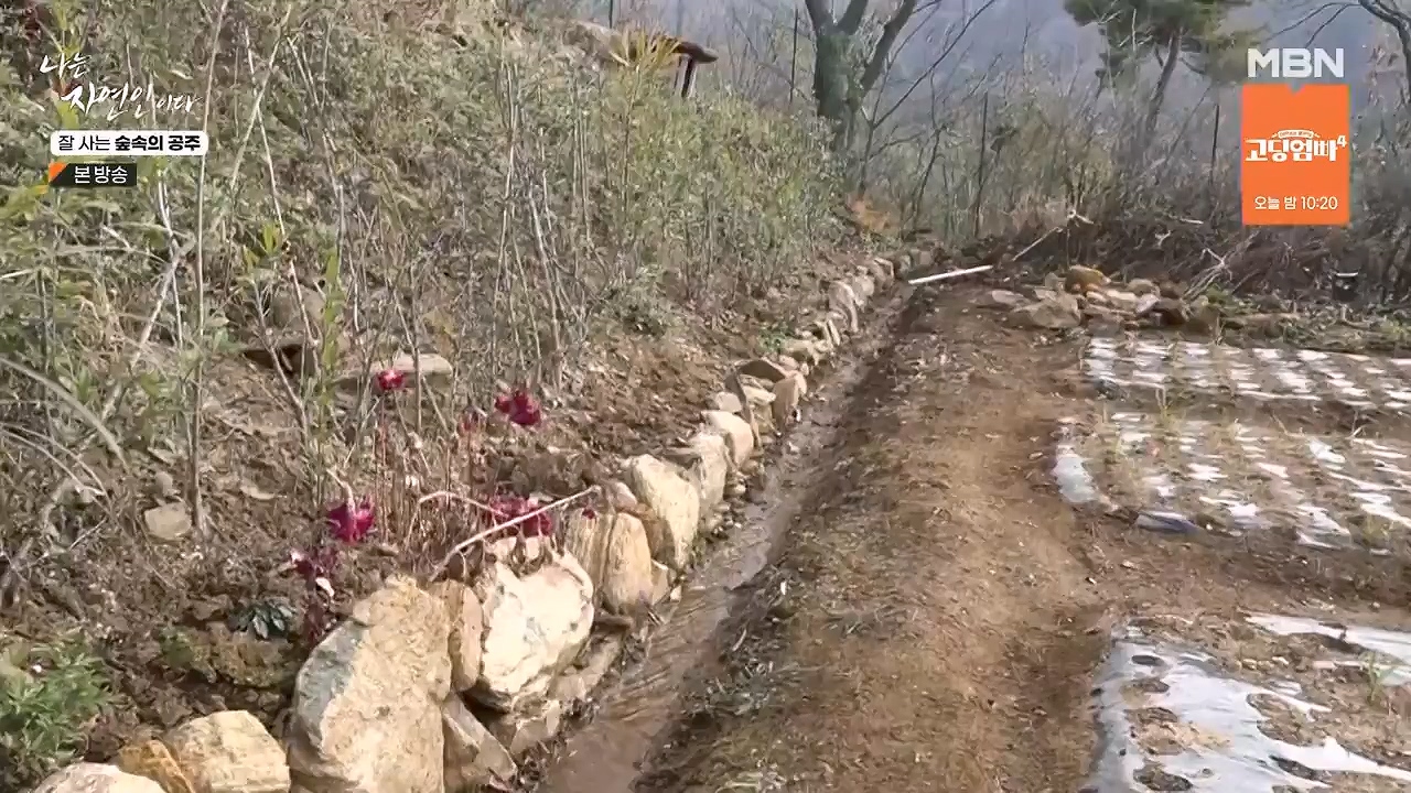 나는 자연인이다.E582.231130p-NEXT.mp4_20231130_200826.310.jpg