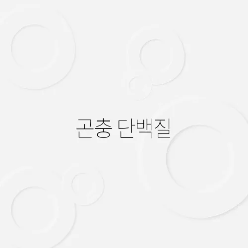 주인공 이미지