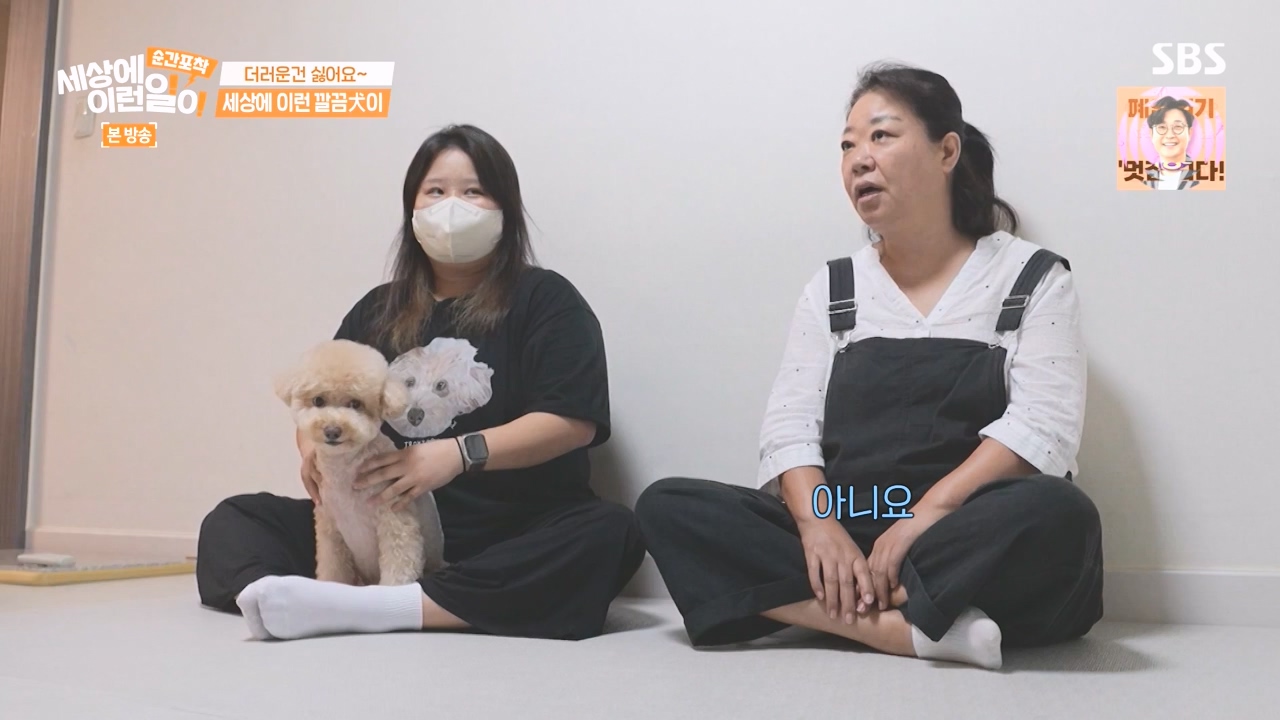 순간포착 세상에 이런일이.E1243.230827p-NEXT.mp4_20230827_173823.336.jpg