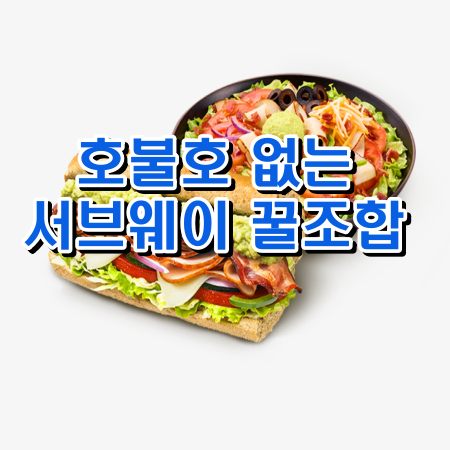 서브웨이 꿀조합