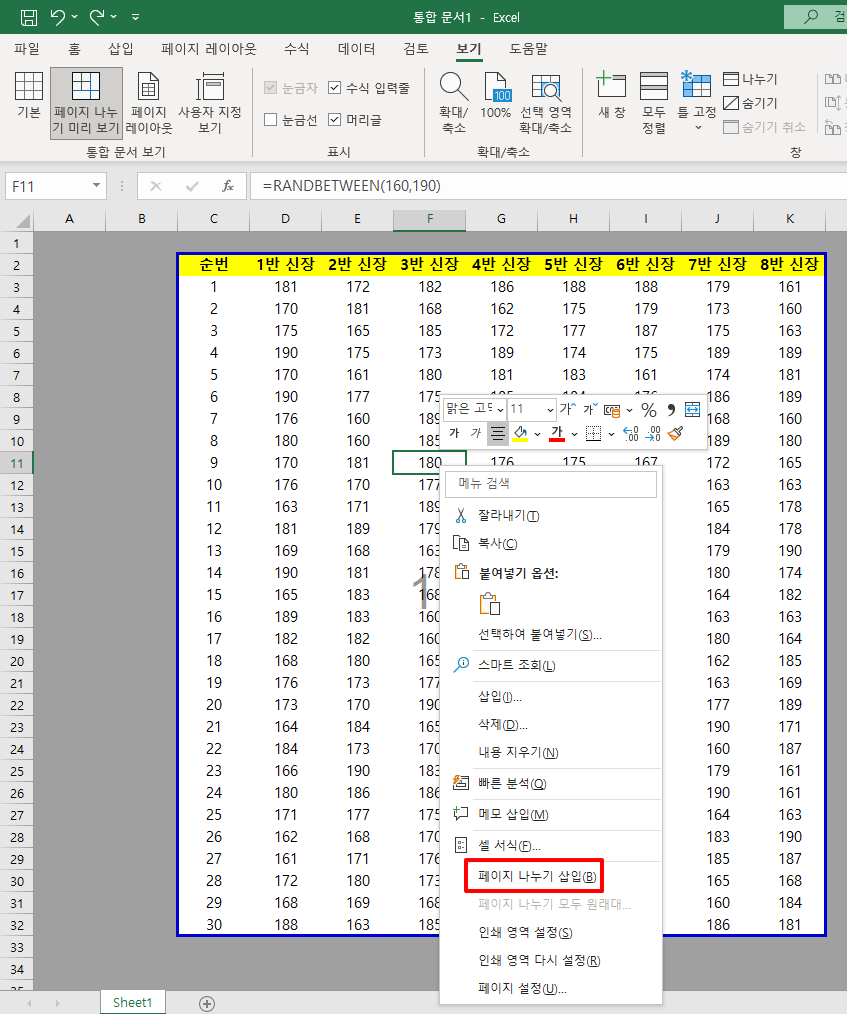 페이지 구분선 삽입