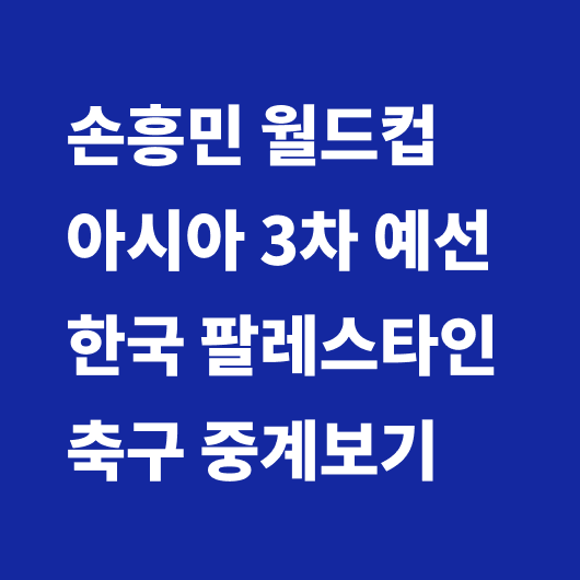 월드컵 아시아 3차 예선