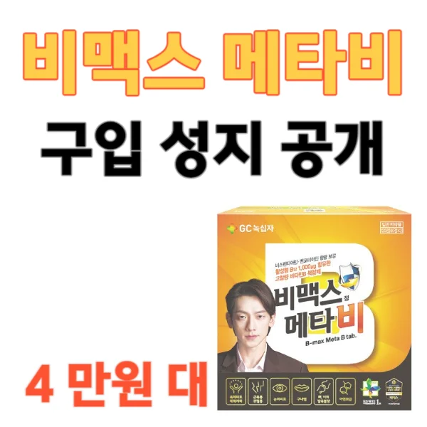 비맥스 메타비 4만원대 구입성지 공개합니다!