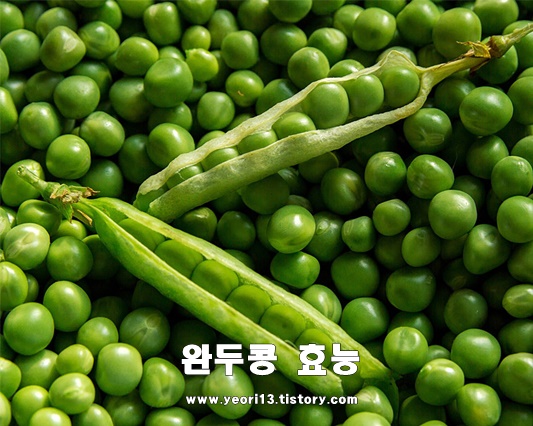  완두콩 효능