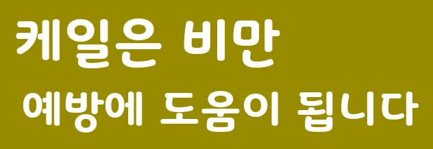 케일은 비만 예방에 도움이 됩니다