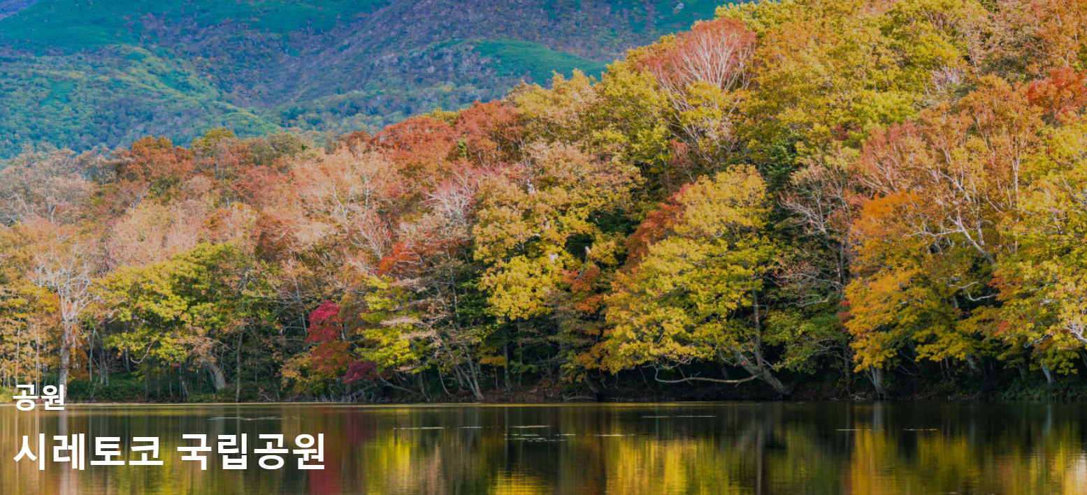 시레토코