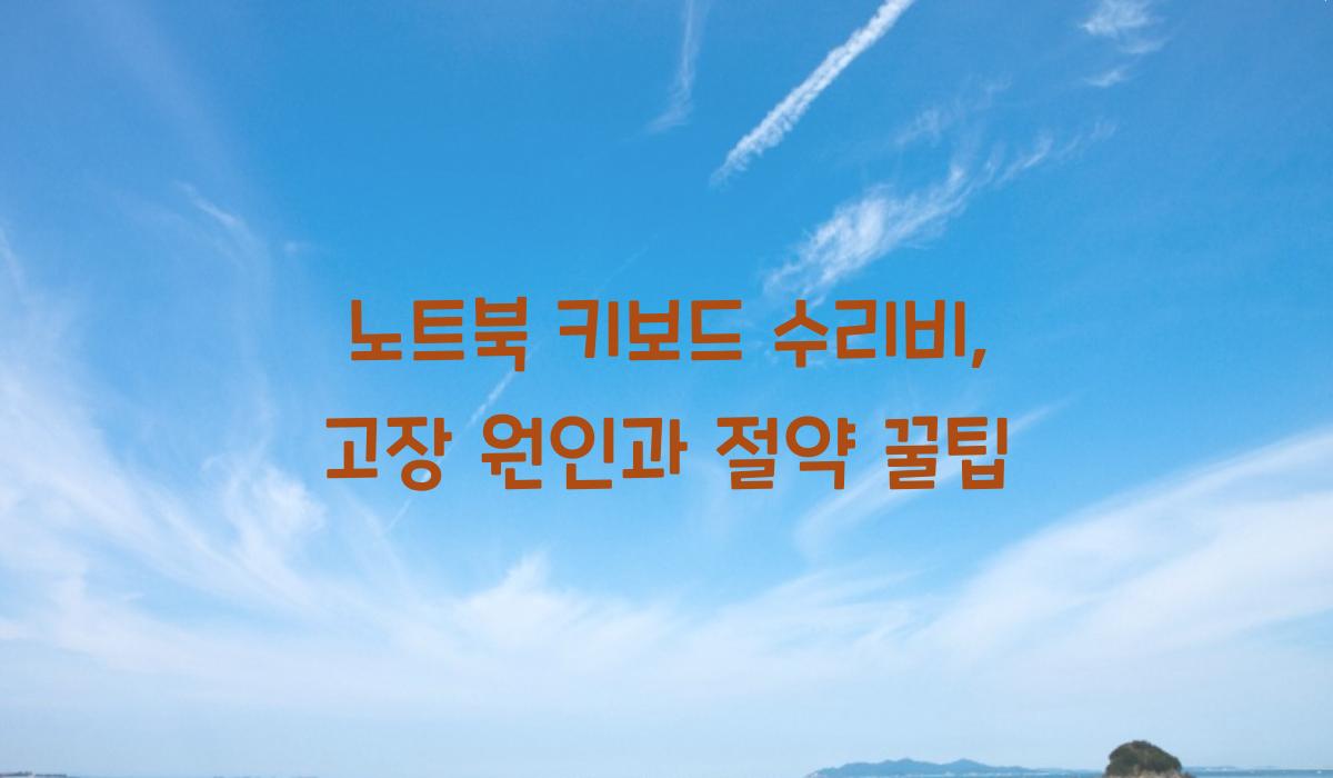 노트북 키보드 수리비