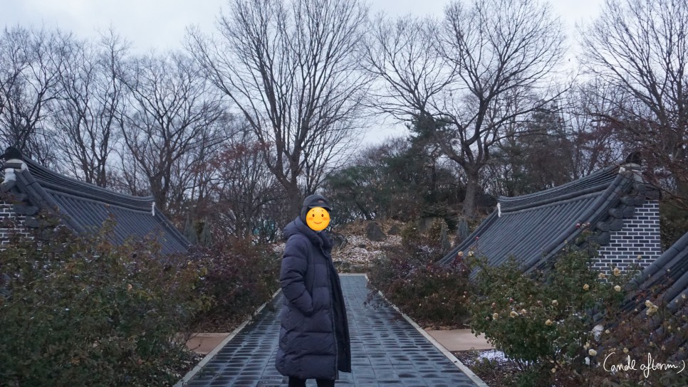 전주 겨울여행 전주겨울여행/한국도로공사 32