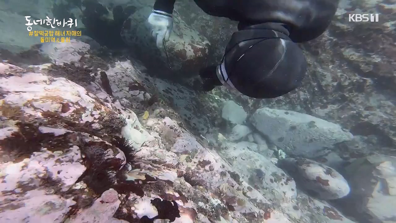 동네 한 바퀴.E278.240616p-NEXT.mp4_20240616_164332.062.jpg