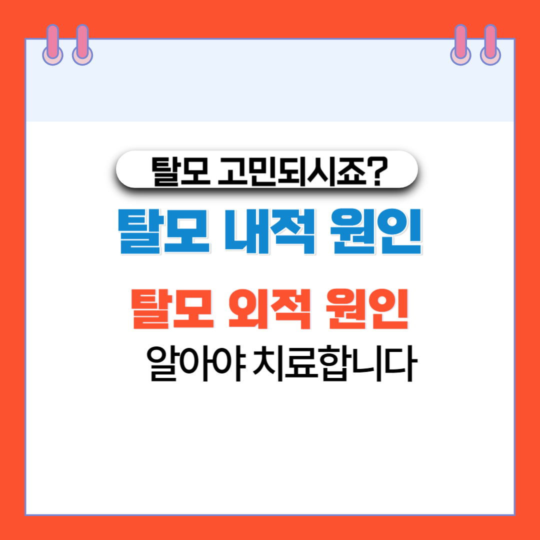  탈모 내적 원인과 외적 원인 알아야 치료합니다