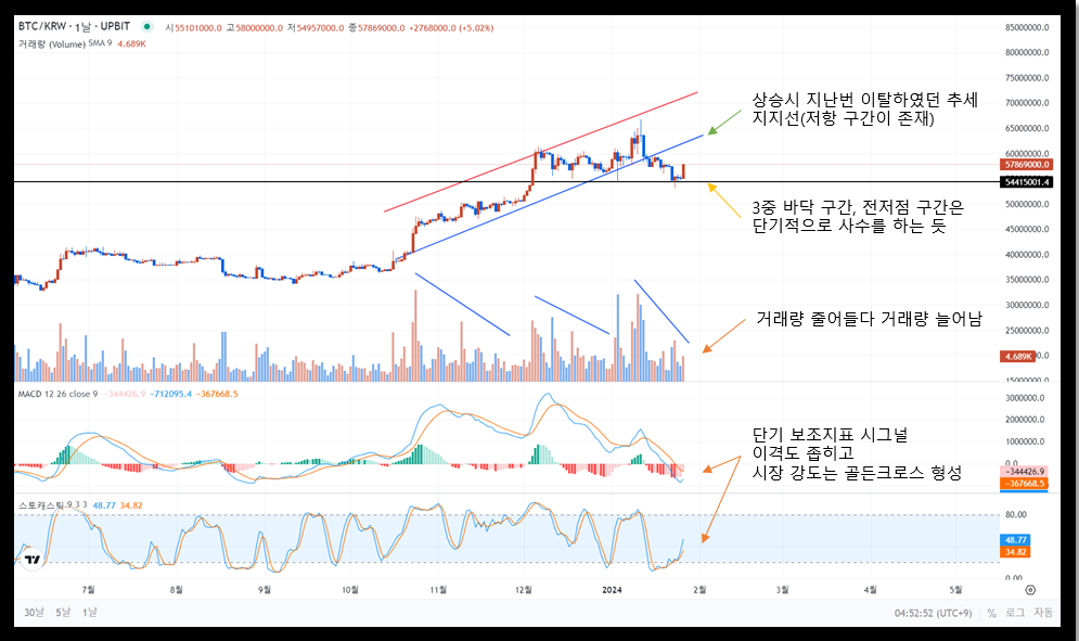 비트코인 시세 상승 이유