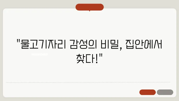 물고기자리의 감수성을 높이는 집안 풍수지리