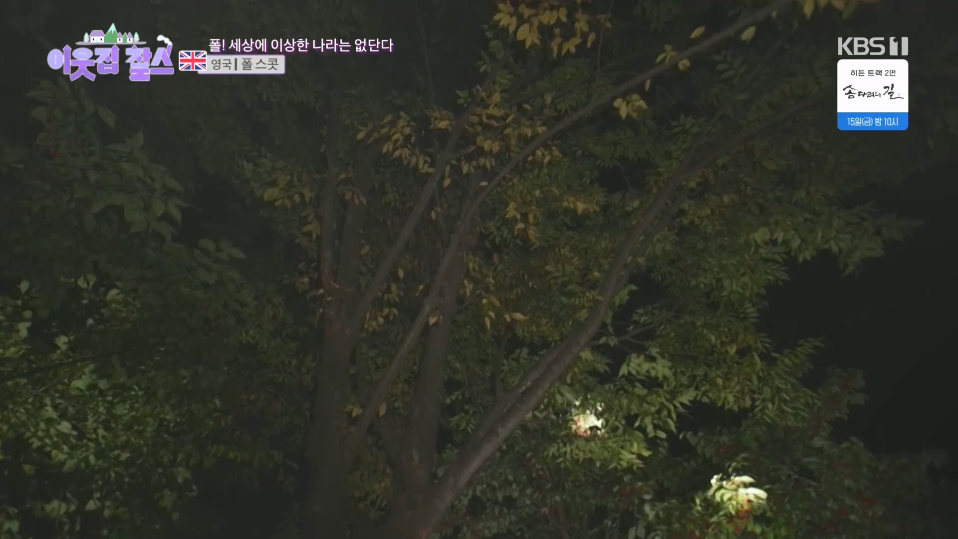 이웃집 찰스.E415.231212p.H264-F1RST.mp4_20231215_202922.815.jpg