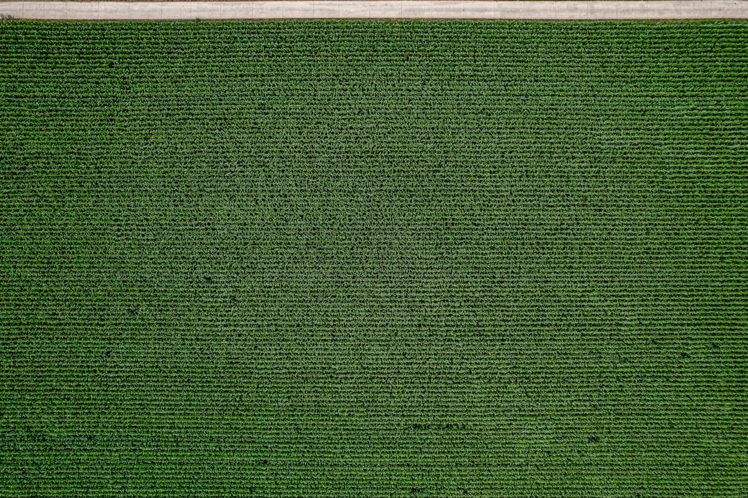 Land-use.