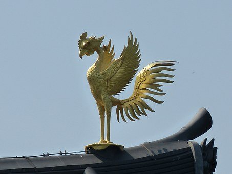  [꿈해몽]황새꿈 봉황새꿈 결혼하는 꿈 봉황새승진꿈 봉황새 태몽 봉황새 자격증 봉황새 재물꿈  꿈풀이