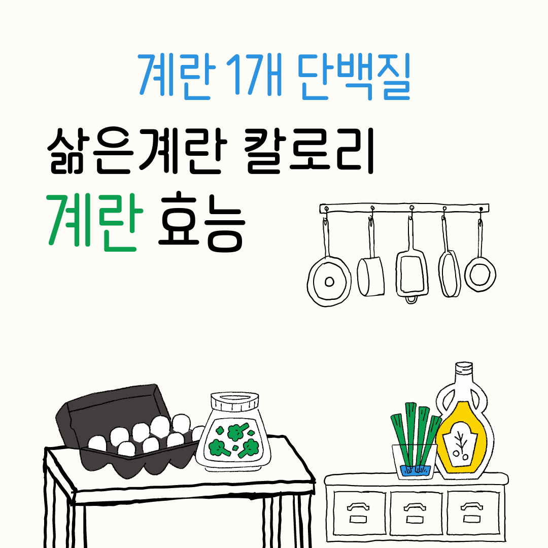  삶은계란 칼로리 계란효능, 계란칼로리, 계란1개 단백질