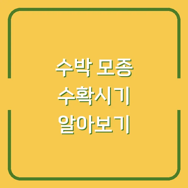 수박 모종 수확시기 알아보기