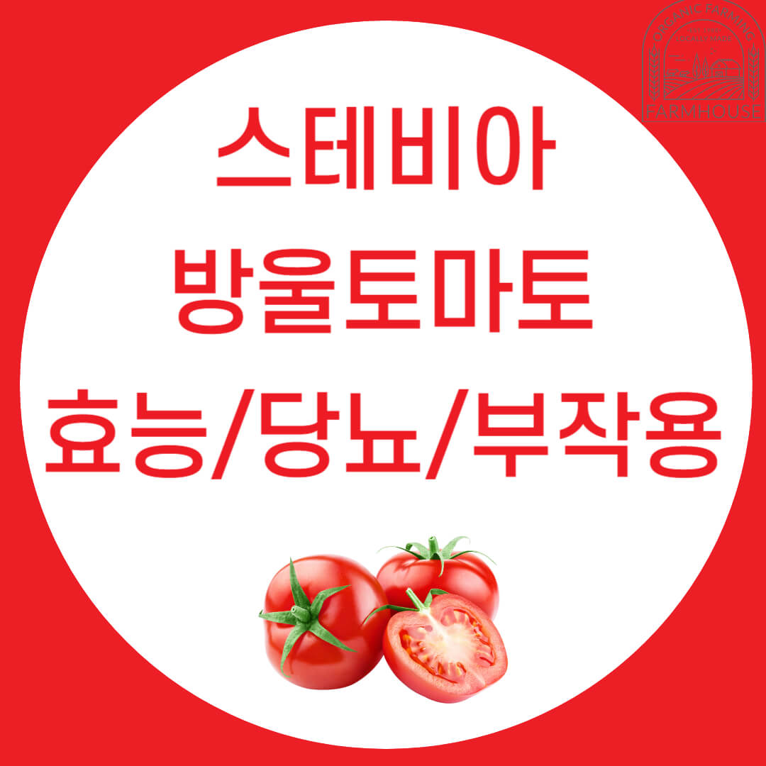 스테비아 방울토마토 효능/당뇨/부작용