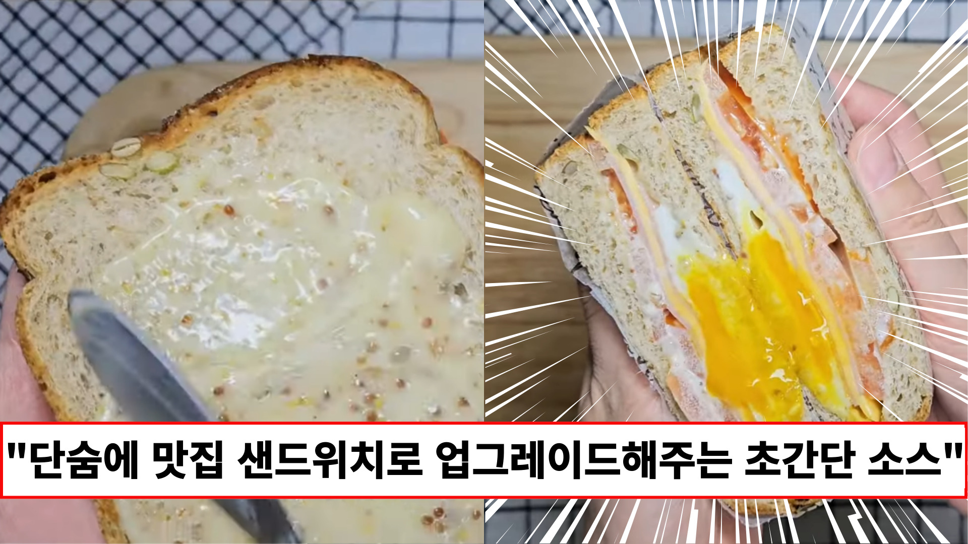 "소스 하나가 샌드위치의 수준을 높여줍니다" 누구나 가진 재료로 1분만에 만드는 만능 샌드위치 소스 레시피 "소스 하나가 샌드위치의 수준을 높여줍니다" 누구나 가진 재료로 1분만에 만드는 만능 샌드위치 소스 레시피