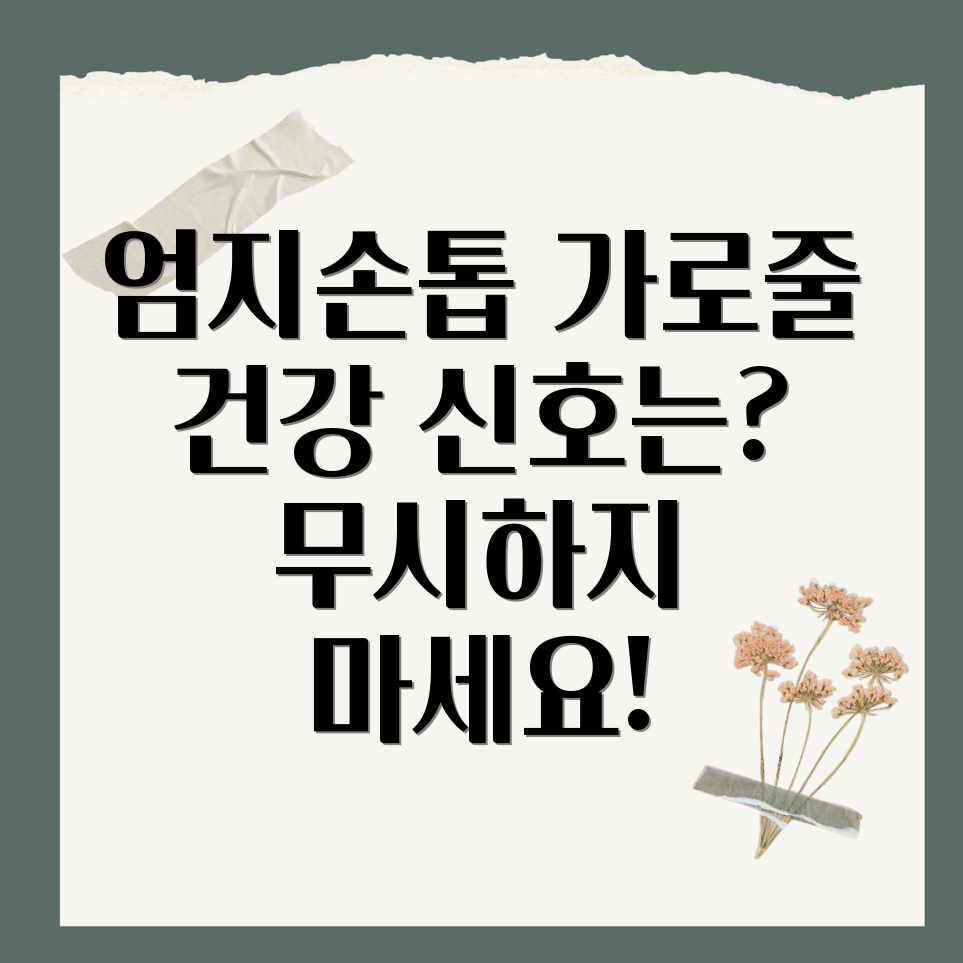 엄지손톱 가로줄