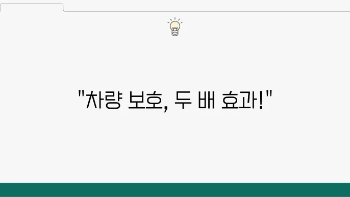 PPF와 유리막코팅 조합의 효과