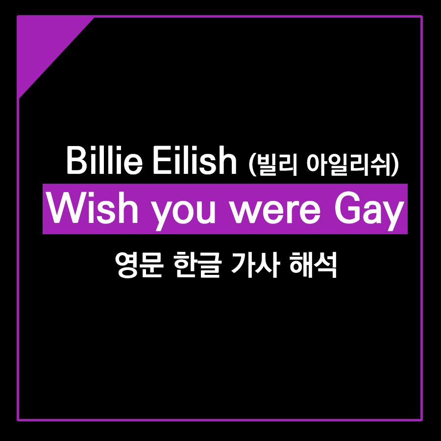  Billie Eilish 빌리 아일리쉬, Wish you were Gay 한글 가사 해석