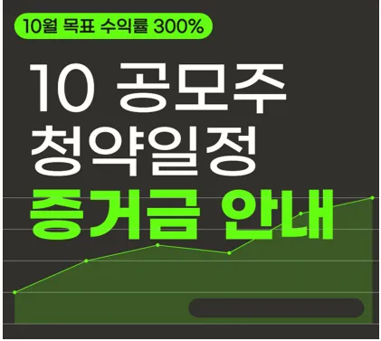 2024년 10월 공모주 청약