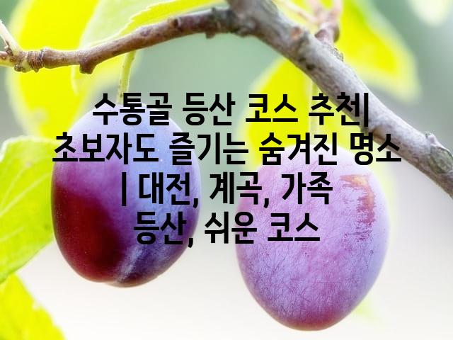 랜덤185