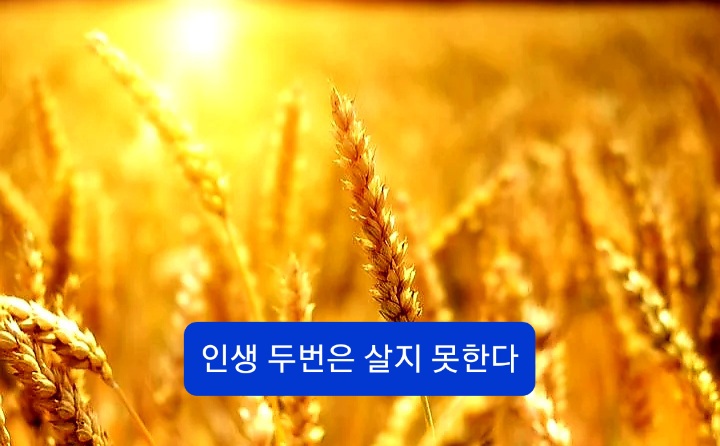  인생 두번은 살지 못한다