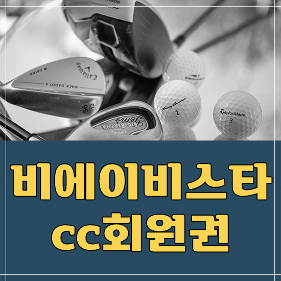 비에이비스타무기명회원권
무기명골프회원권