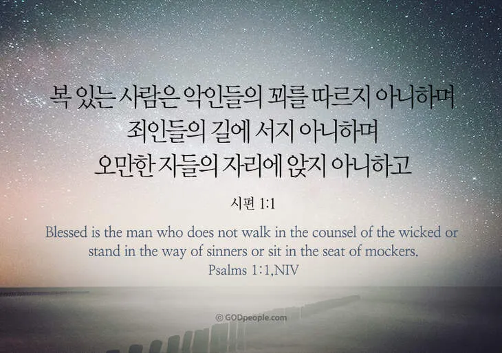 시편 1장 3절 묵상 - 그는 시냇가에 심은 나무가 철을 따라 열매를 맺으며_3