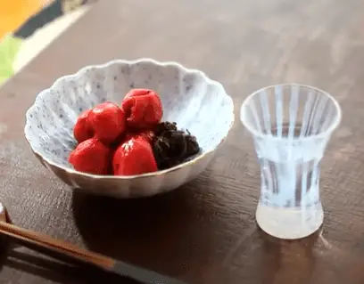 일본-우메보시