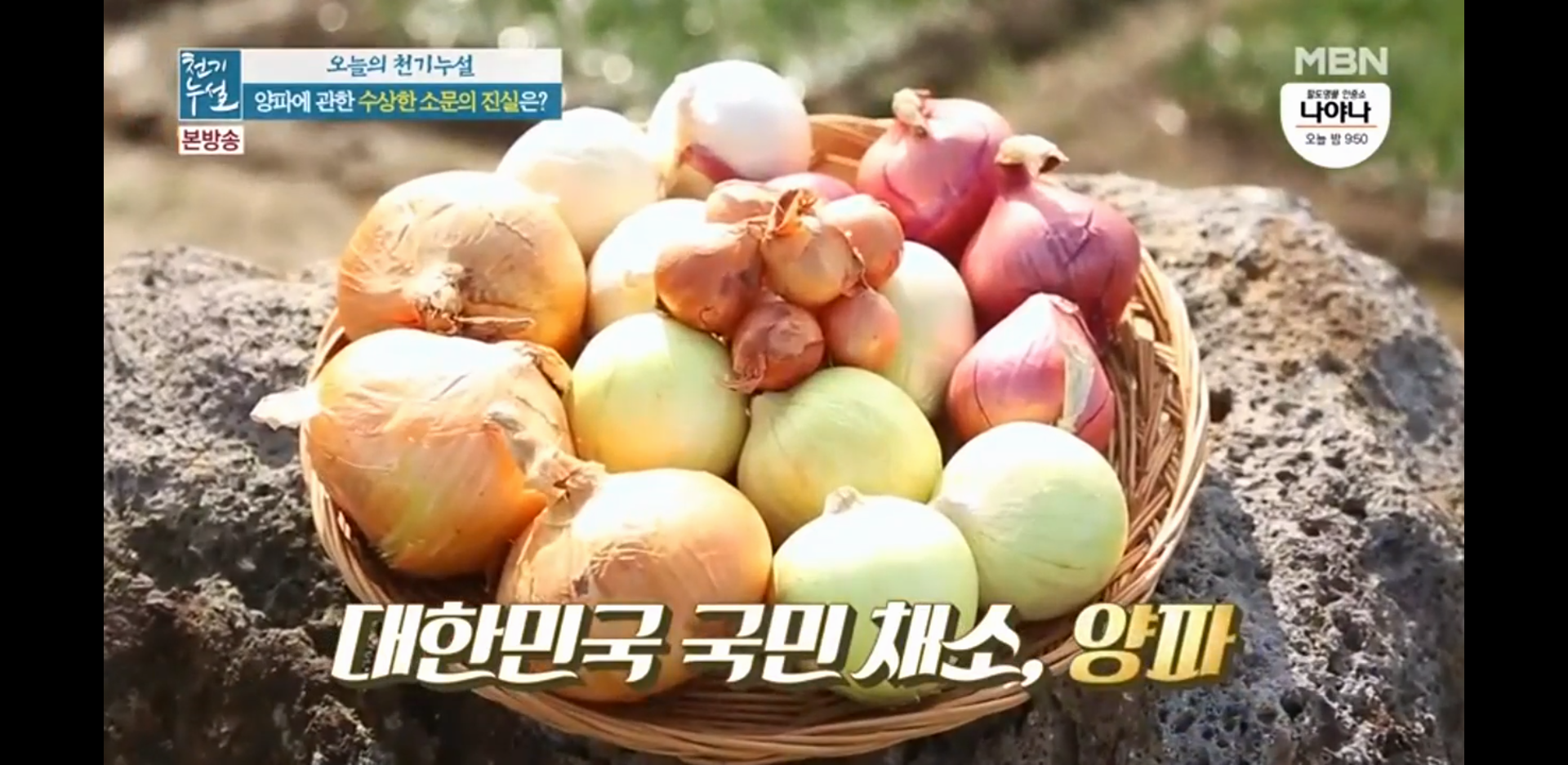  흉터치료와 피부미용에 좋은 양파(천기누설 수상한 소문)