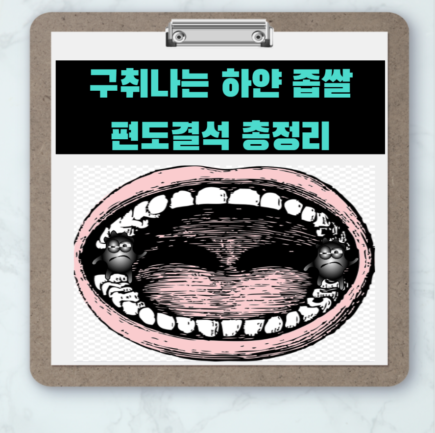  구취나는 작은좁쌀 - 편도결석 총정리