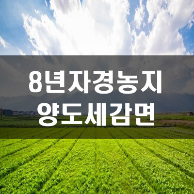  8년 자경농지 양도소득세  감면법